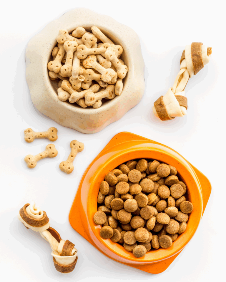 Pet Food Dehradun