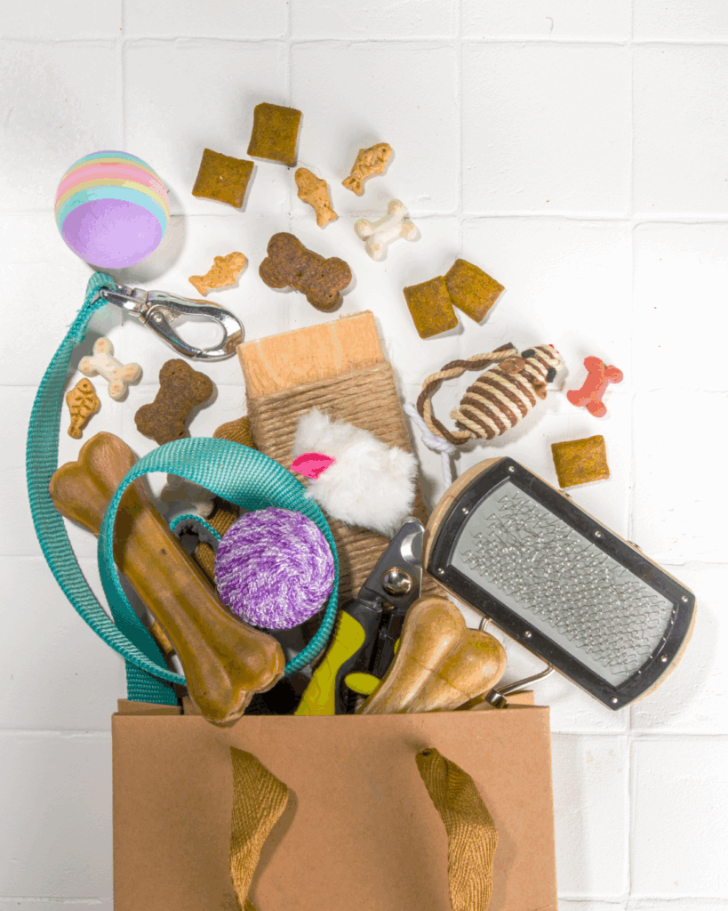 pet accessories shop in dehradun