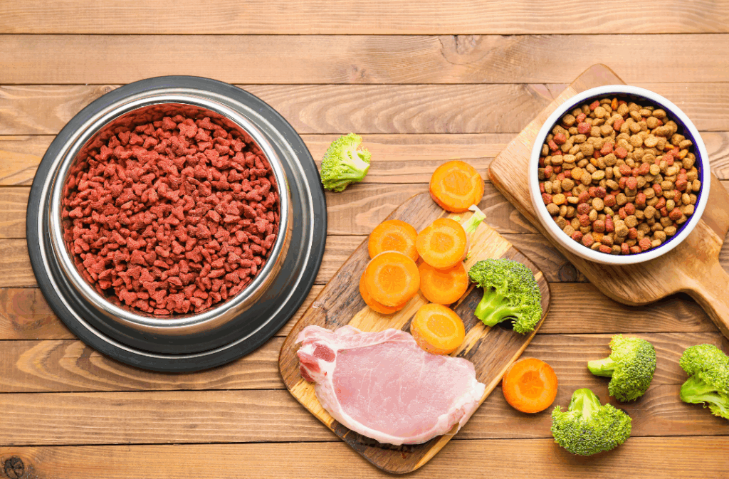 Pet Food Dehradun