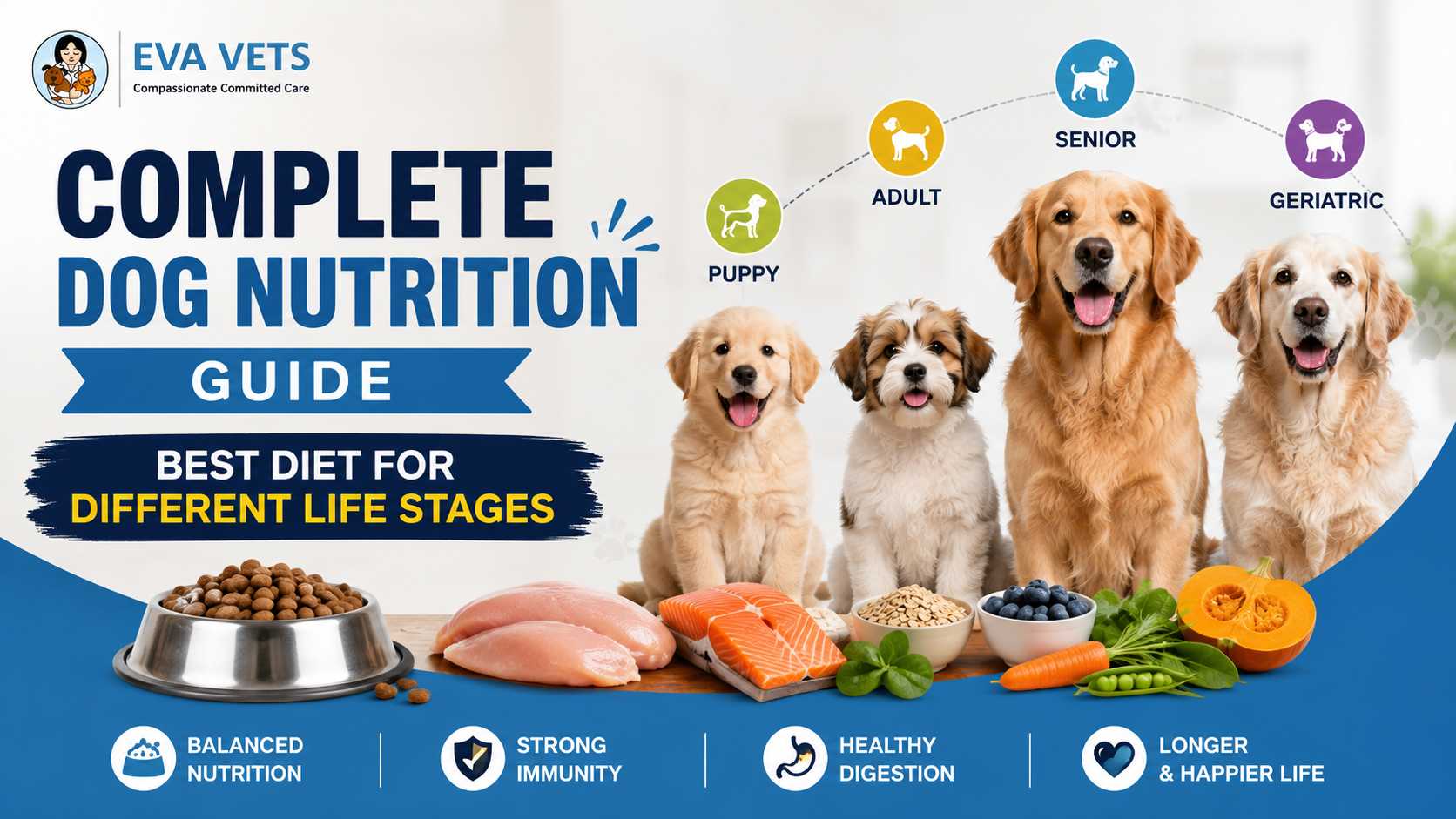 Dog Nutrition Guide
