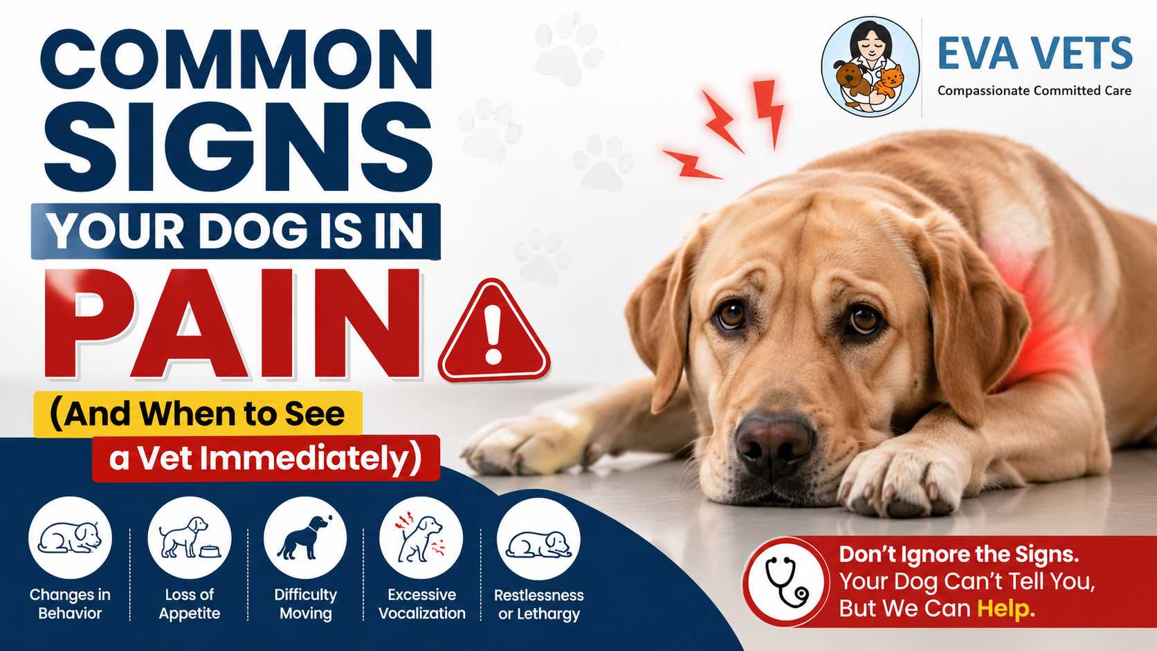Common Signs Your Dog Is in Pain