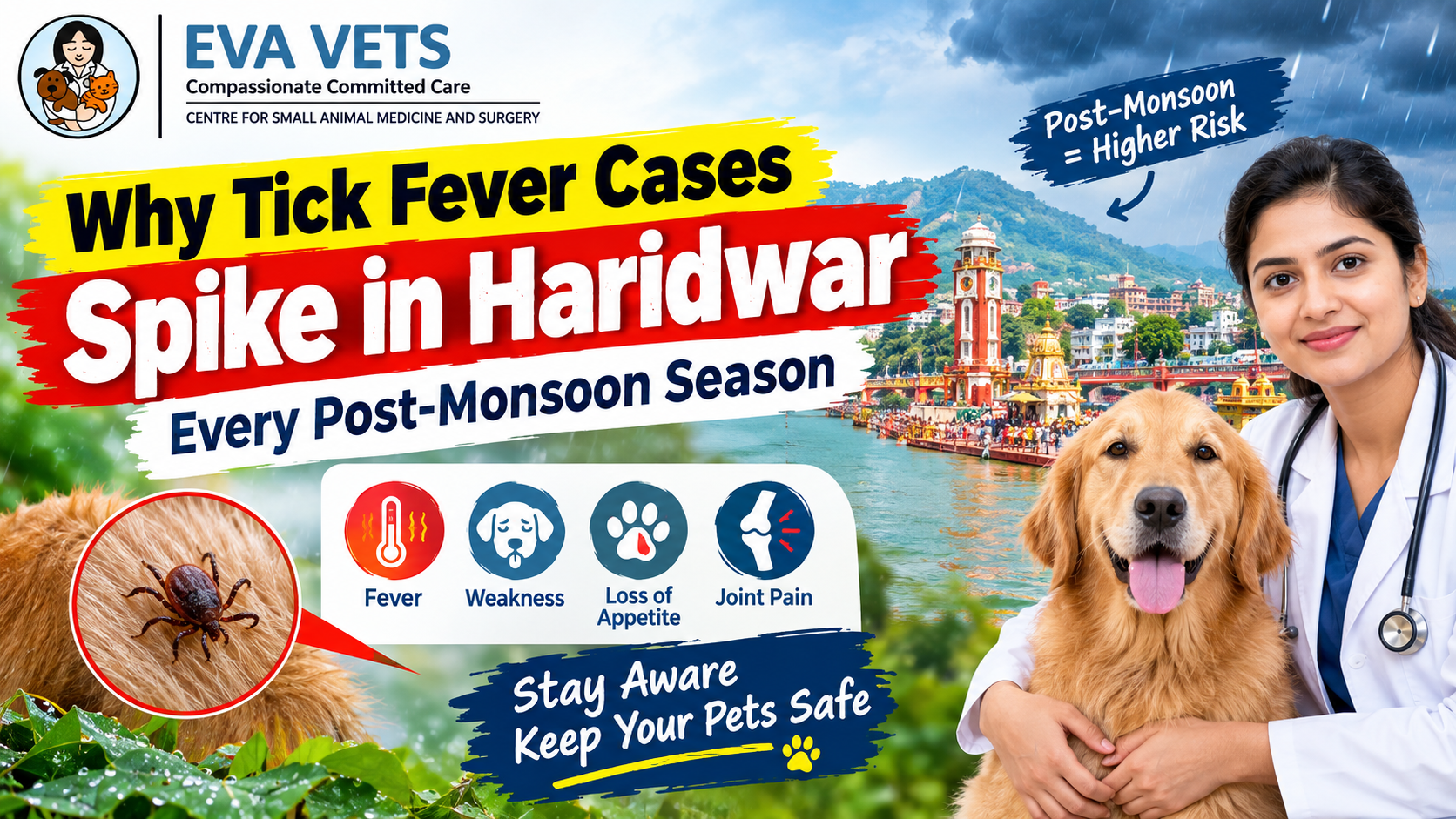 Why Tick Fever Cases Spike in Haridwar Every Post-Monsoon Season