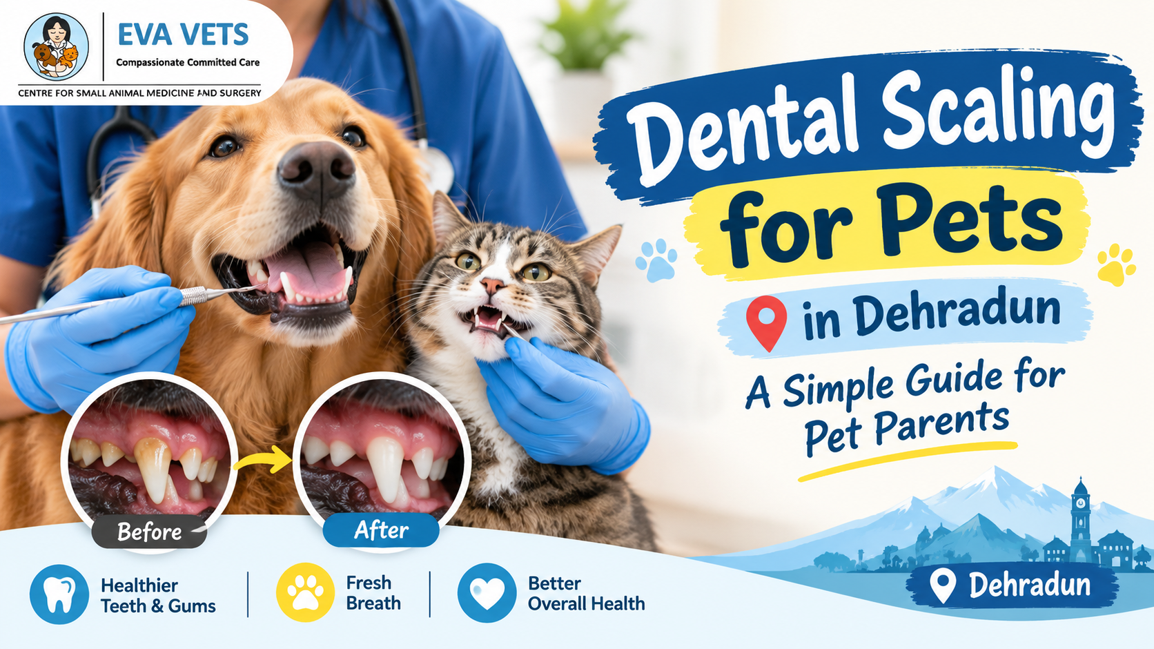 Dental Scaling for Pets in Dehradun